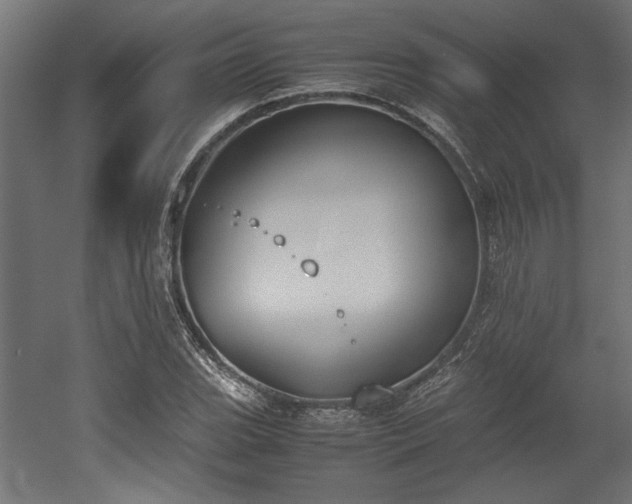 X0000052611119200507011220