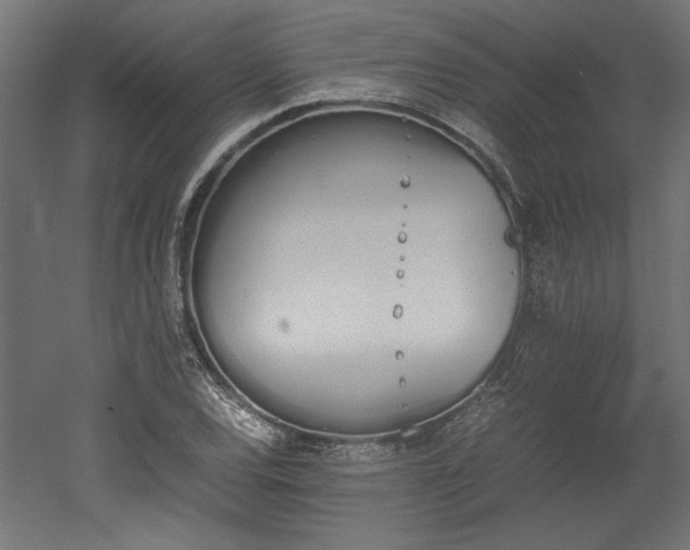 X0000052611120200507011220