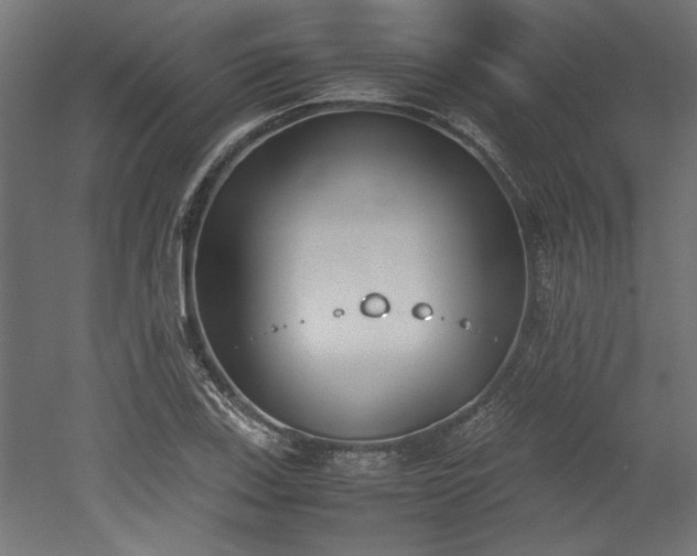 X0000052611123200507011220