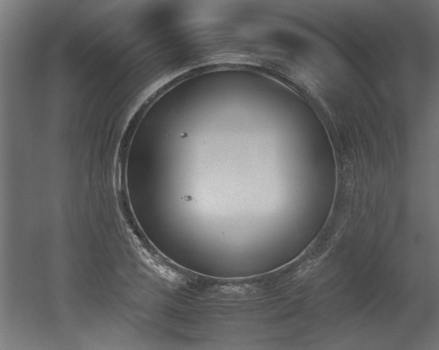 X0000052611125200507011220