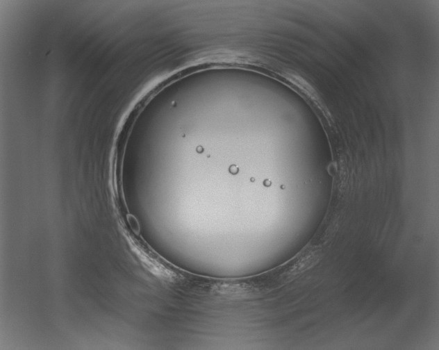 X0000052611128200507011220