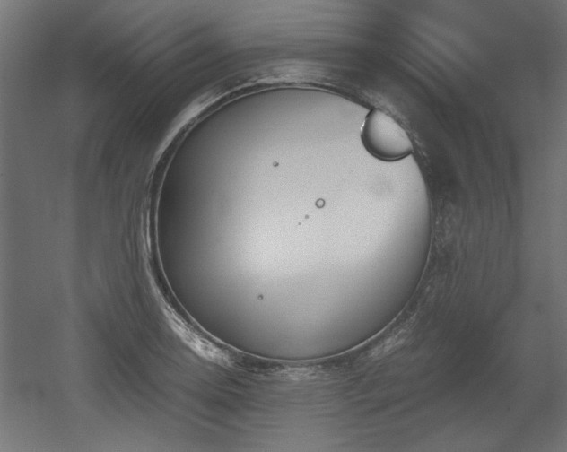 X0000052611130200507011220