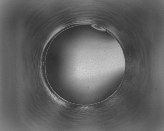 X0000052611139200507011220