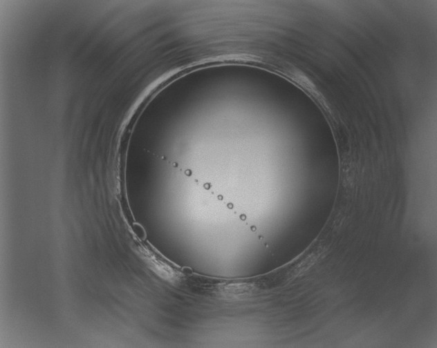 X0000052611140200507011220