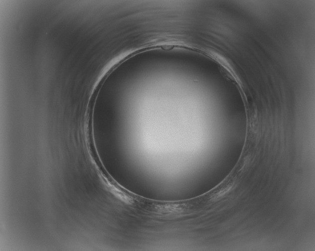 X0000052611149200507011221