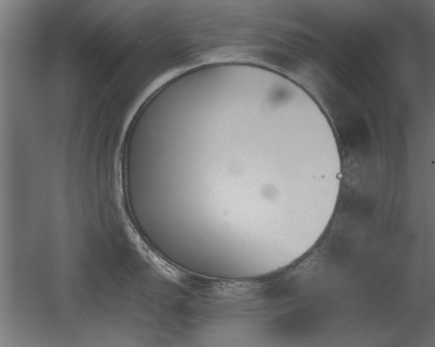 X0000052611150200507011221