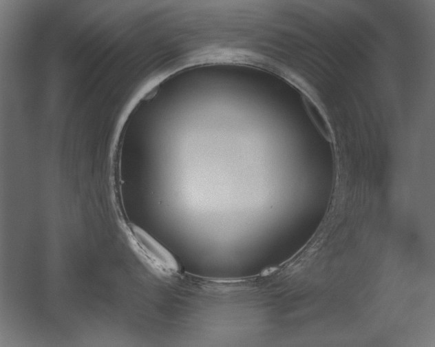 X0000052611152200507011221