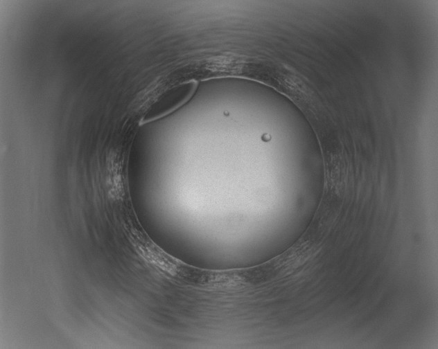 X0000052611154200507011220