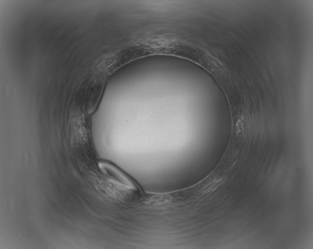 X0000052611156200507011220