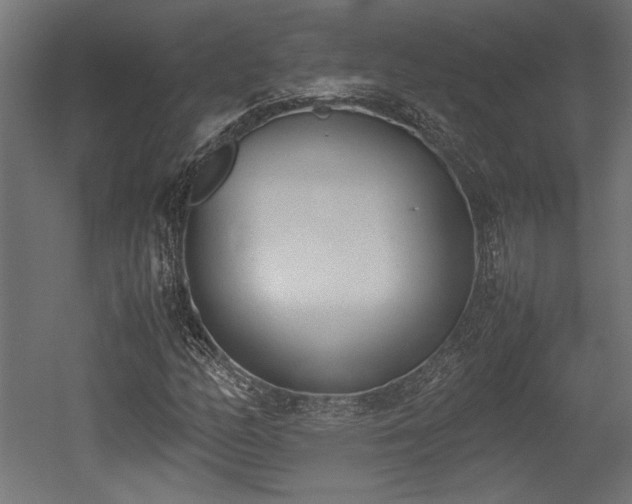 X0000052611158200507011220