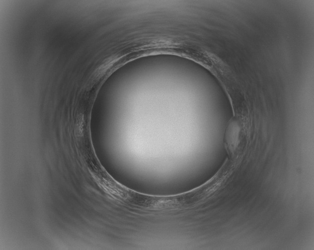 X0000052611161200507011220