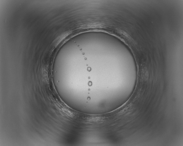 X0000052611162200507011220