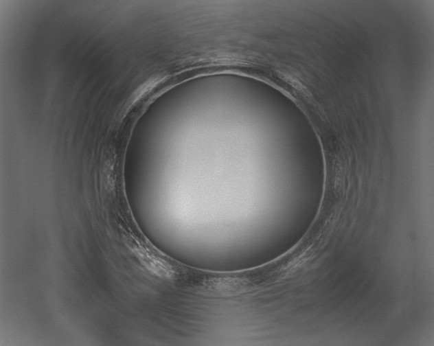 X0000052611163200507011220