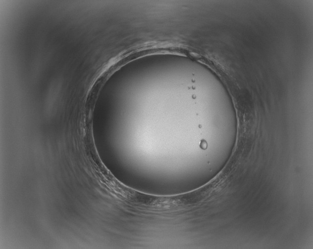 X0000052611165200507011220