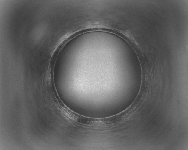 X0000052611167200507011220