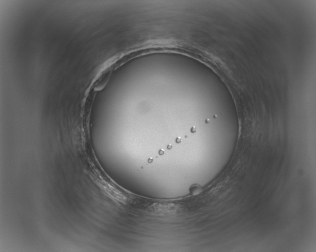 X0000052611168200507011219