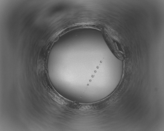 X0000052611169200507011219