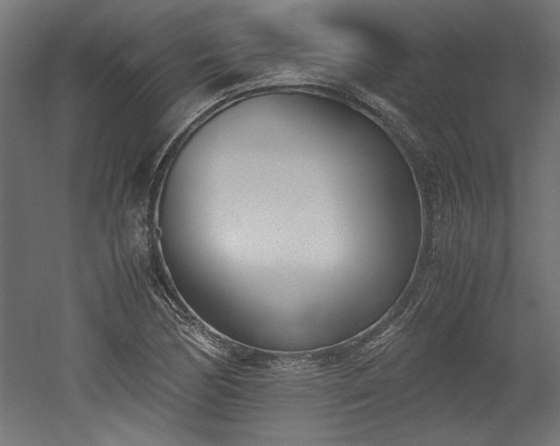 X0000052611170200507011219