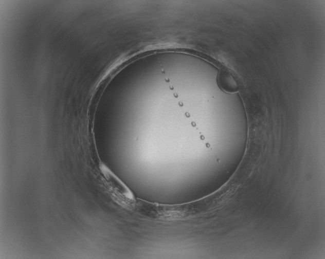 X0000052611173200507011219