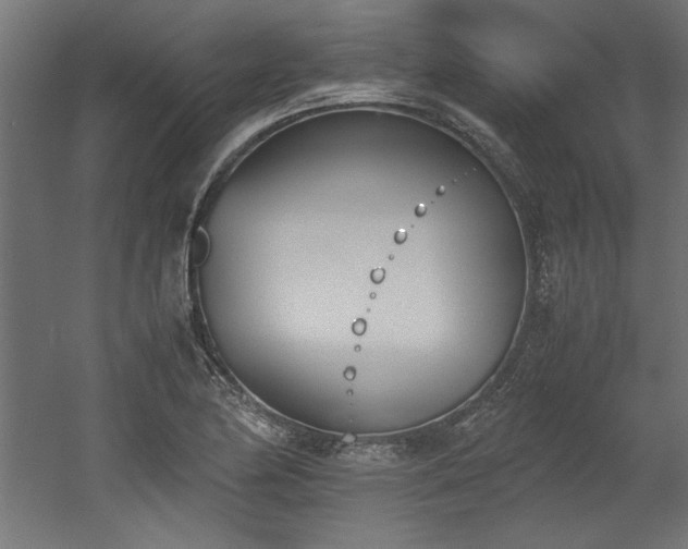 X0000052611174200507011219