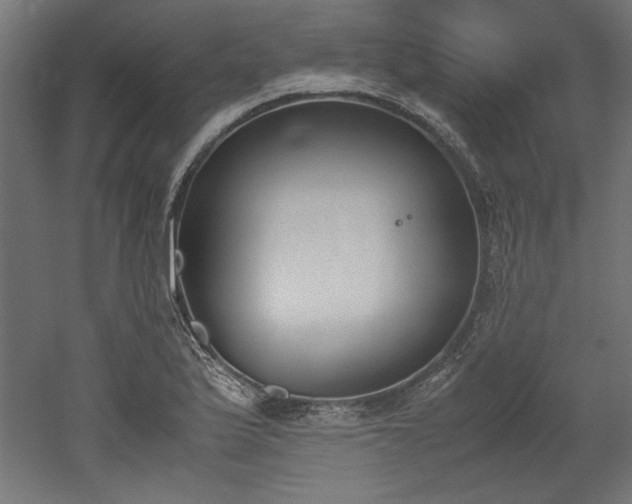 X0000052611175200507011219