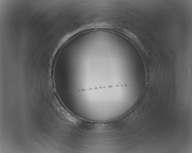 X0000052611176200507011219