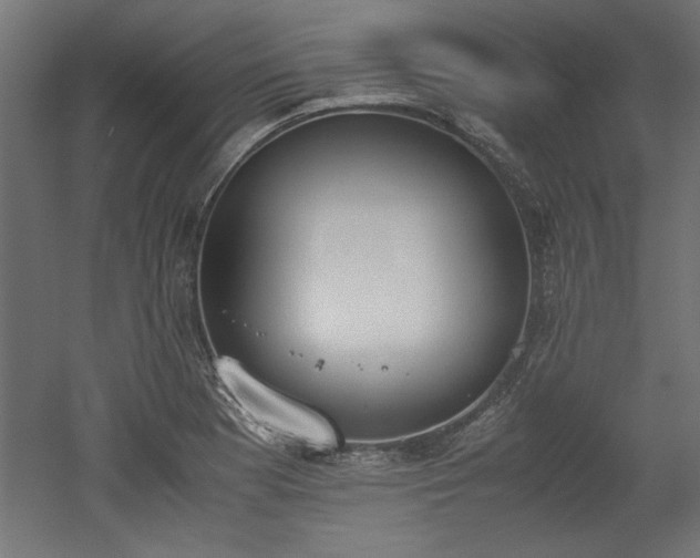 X0000052611177200507011219