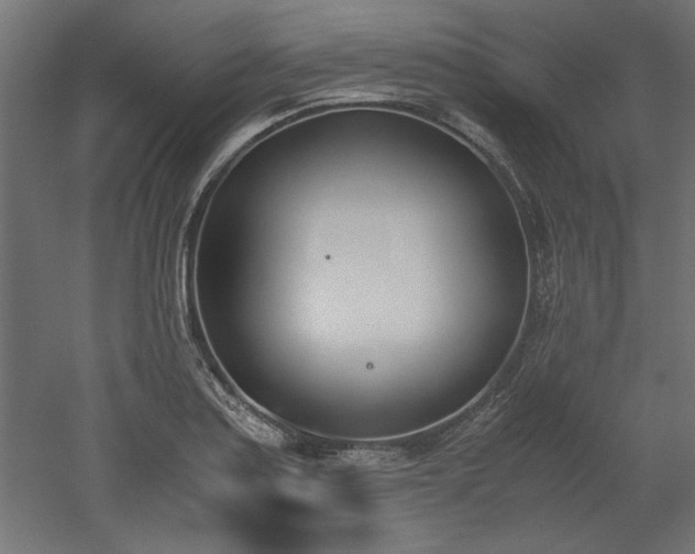 X0000052611179200507011219