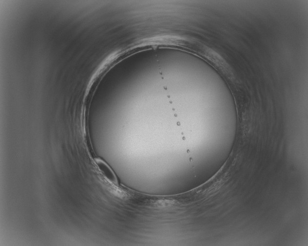 X0000052611180200507011219