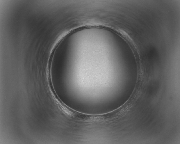 X0000052611183200507011219