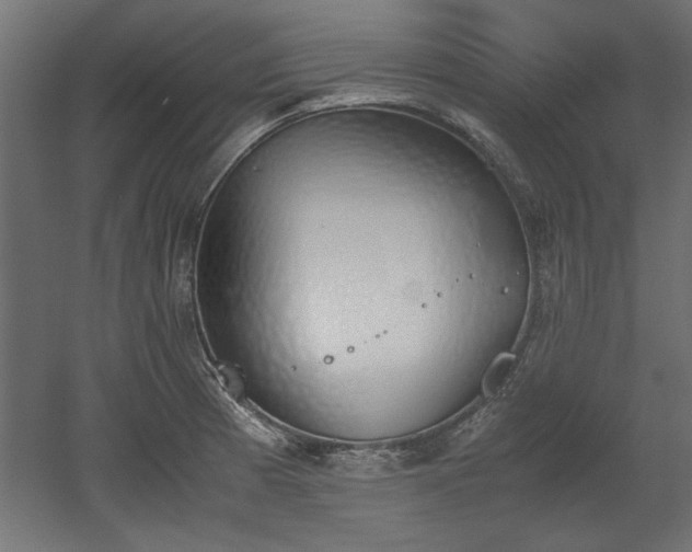 X0000052611185200507011219