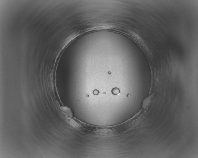 X0000052611186200507011219