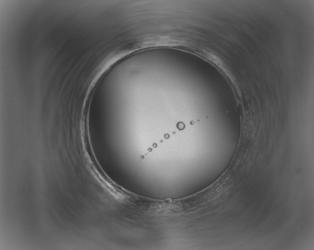 X0000052611187200507011219