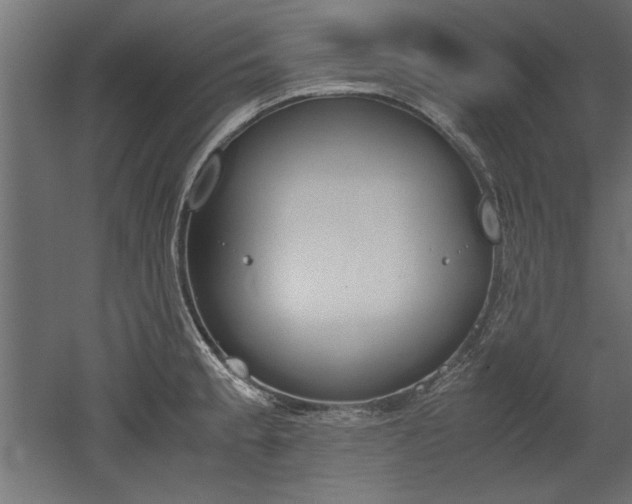 X0000052611189200507011219