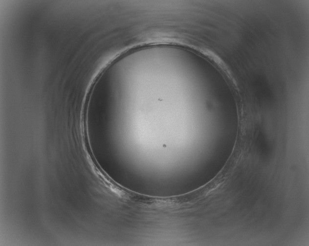 X0000052611191200507011219