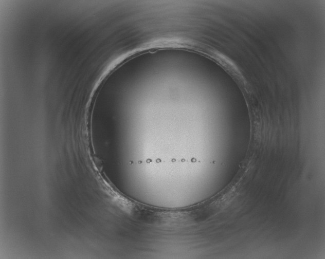 X0000052611192200507011219