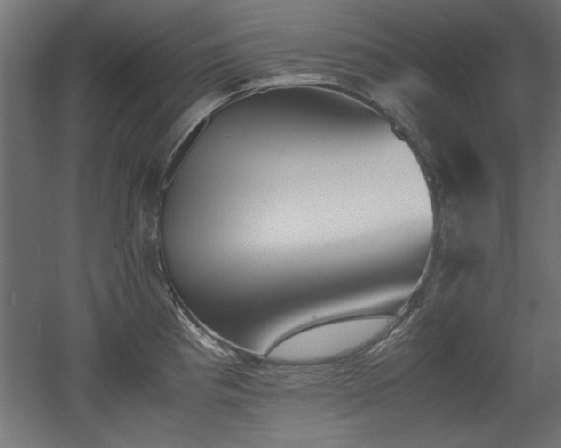 X0000052611193200507011219