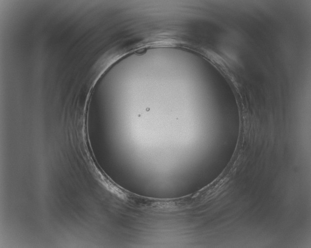 X0000052611194200507011219