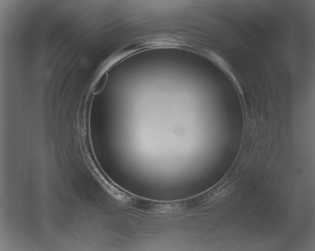 X0000052611195200507011219