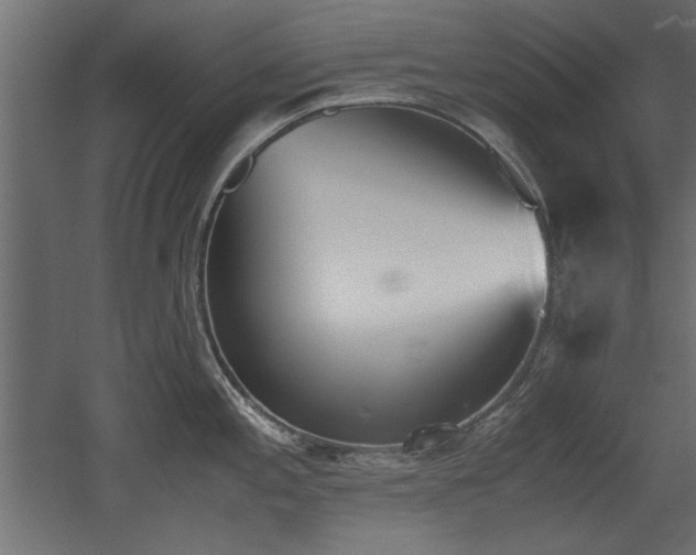 X0000052611197200507011219