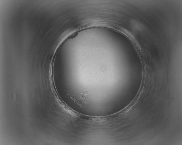 X0000052611198200507011219