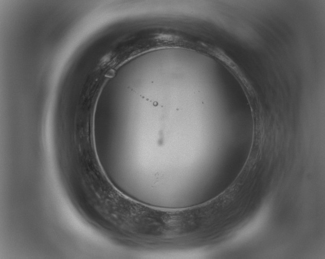 X0000052611199200507011219