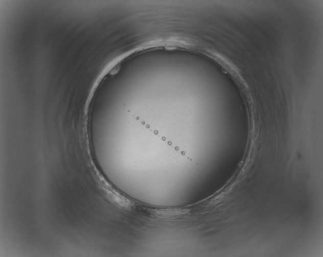 X0000052611200200507011219