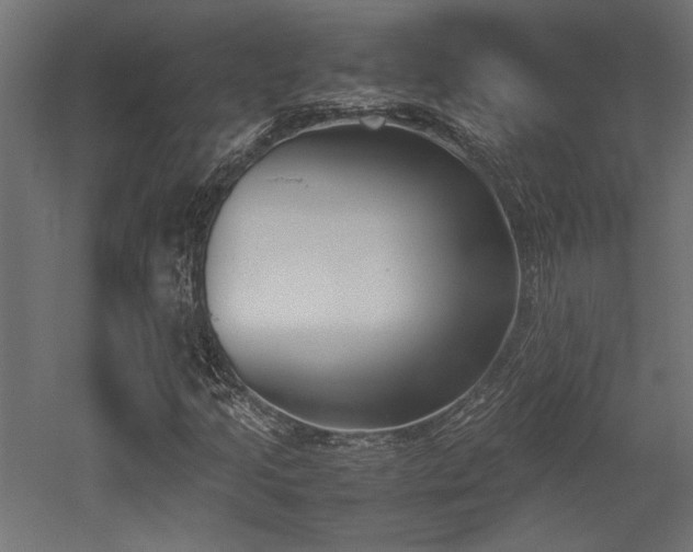 X0000052611205200507011218