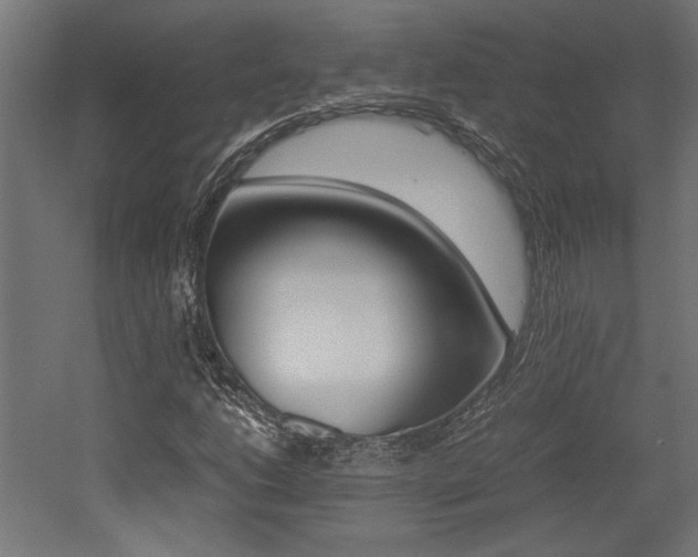 X0000052611206200507011218