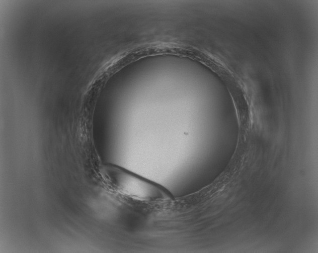 X0000052611207200507011218