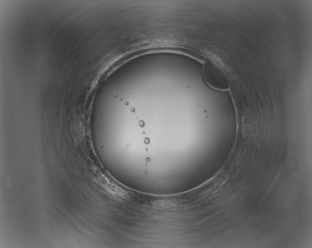 X0000052611212200507011218