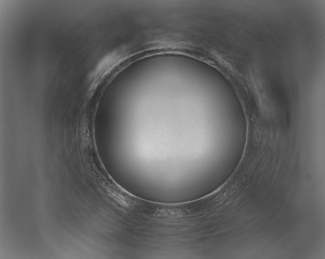 X0000052611215200507011218