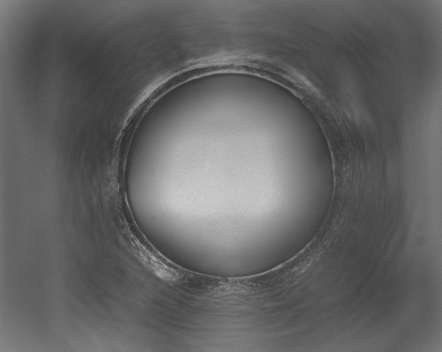 X0000052611216200507011218