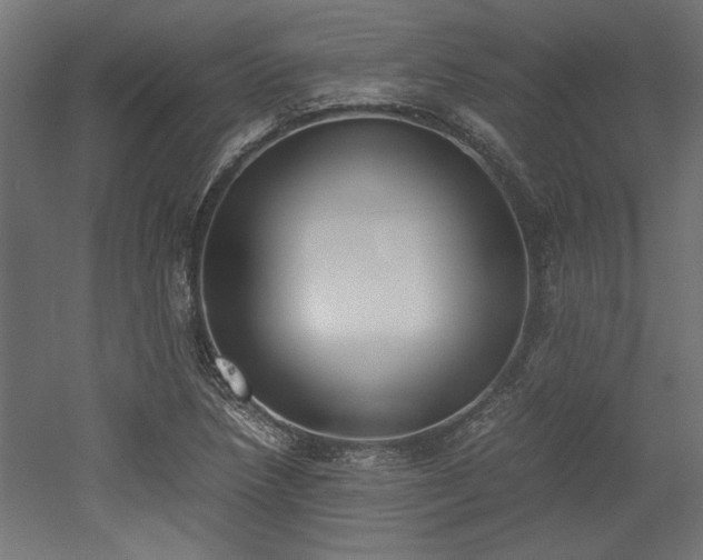 X0000052611218200507011218